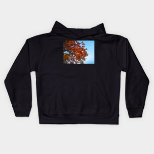 Photo of Red Autumn Leaves Kids Hoodie